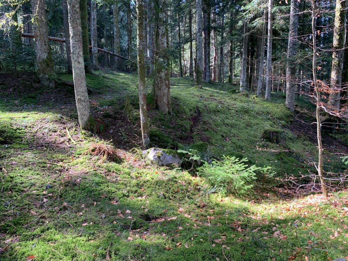 Gite " Oree Des Bois" Vertolaye Ngoại thất bức ảnh