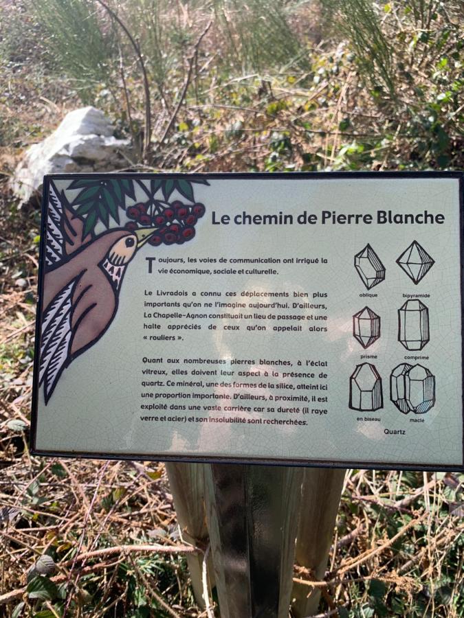 Gite " Oree Des Bois" Vertolaye Ngoại thất bức ảnh